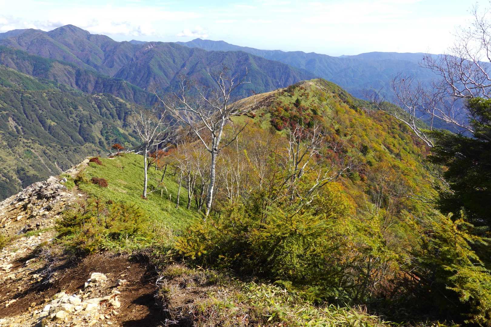 沢入山の下り