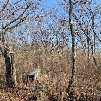 嫦娥山のピーク