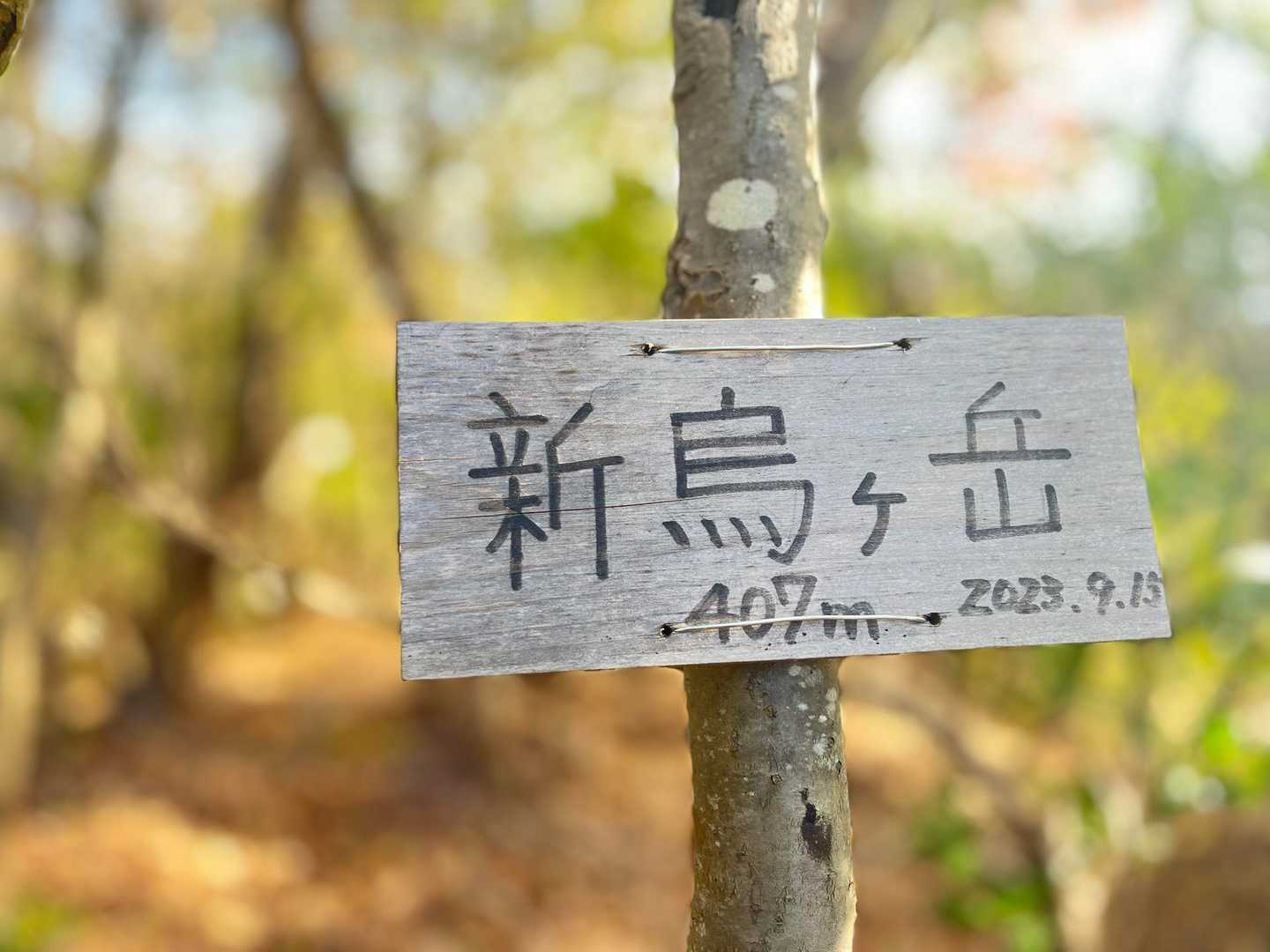 上桂駅-松尾山-嵐山-烏ヶ岳-新烏ヶ岳-トロッコ保津峡駅 縦走コースの写真