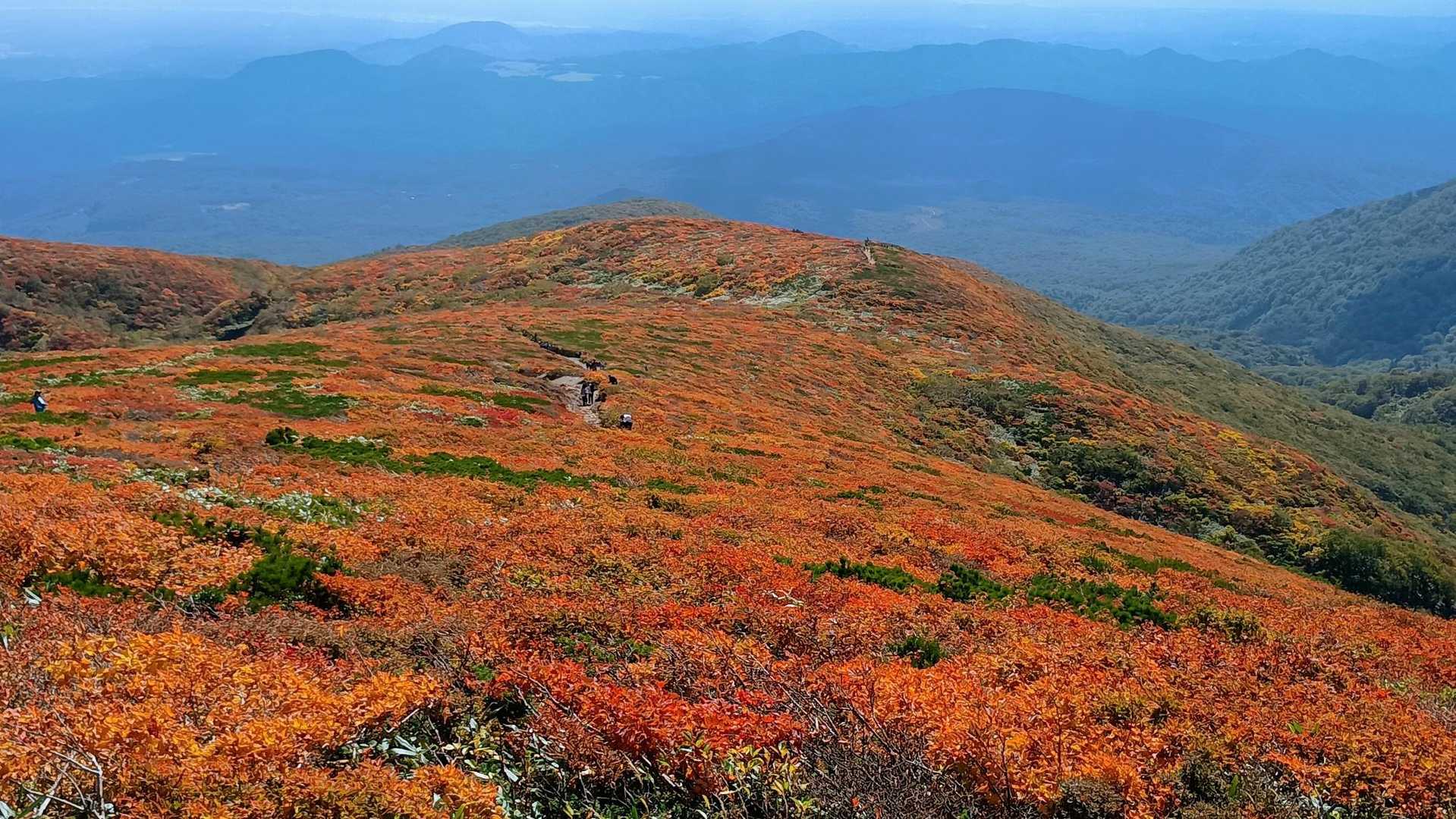 栗駒山 | 神の絨毯と称される圧倒的な紅葉美、山全体を染める極彩色のパノラマの写真