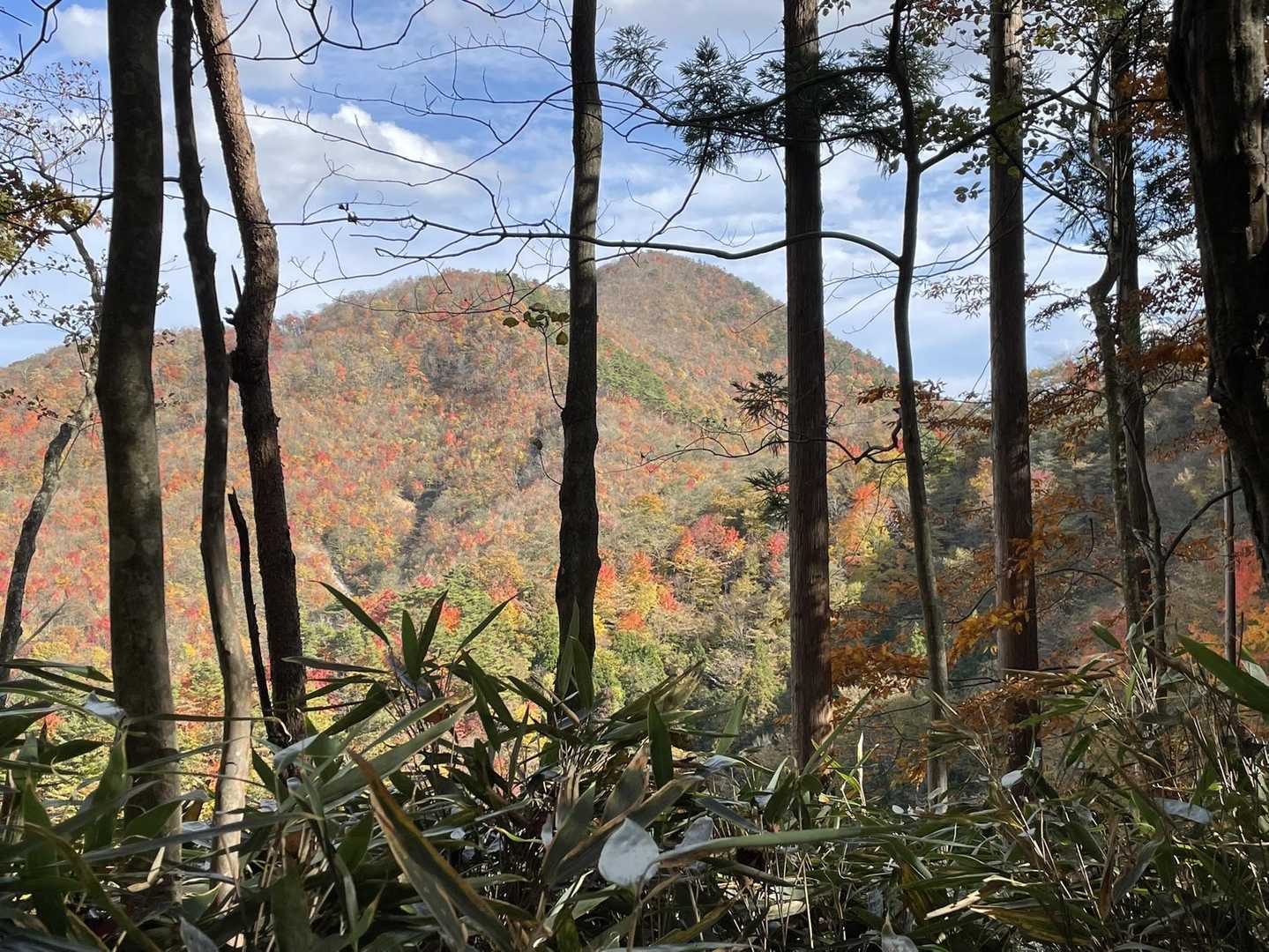 七五六山、あけら山