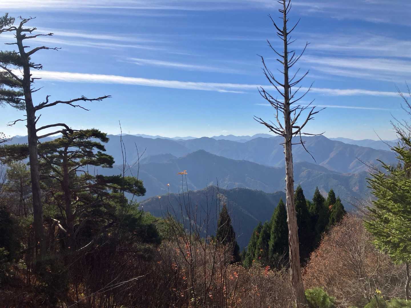 朝来山 周回コースの写真