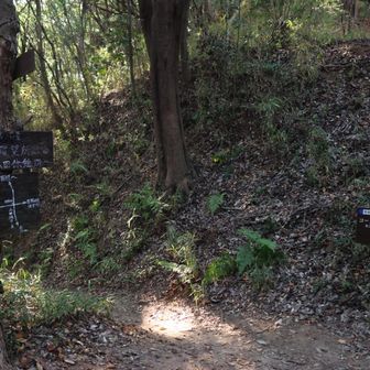 道標が丁寧です🙏