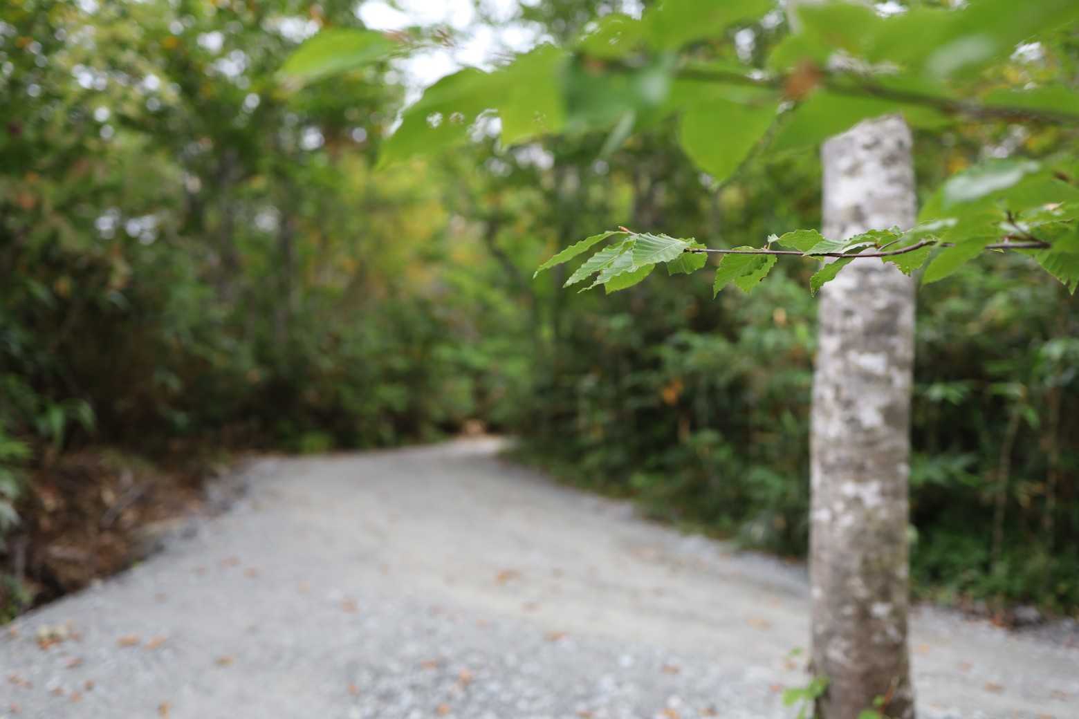 ん？
舗装されたのか⁉️
