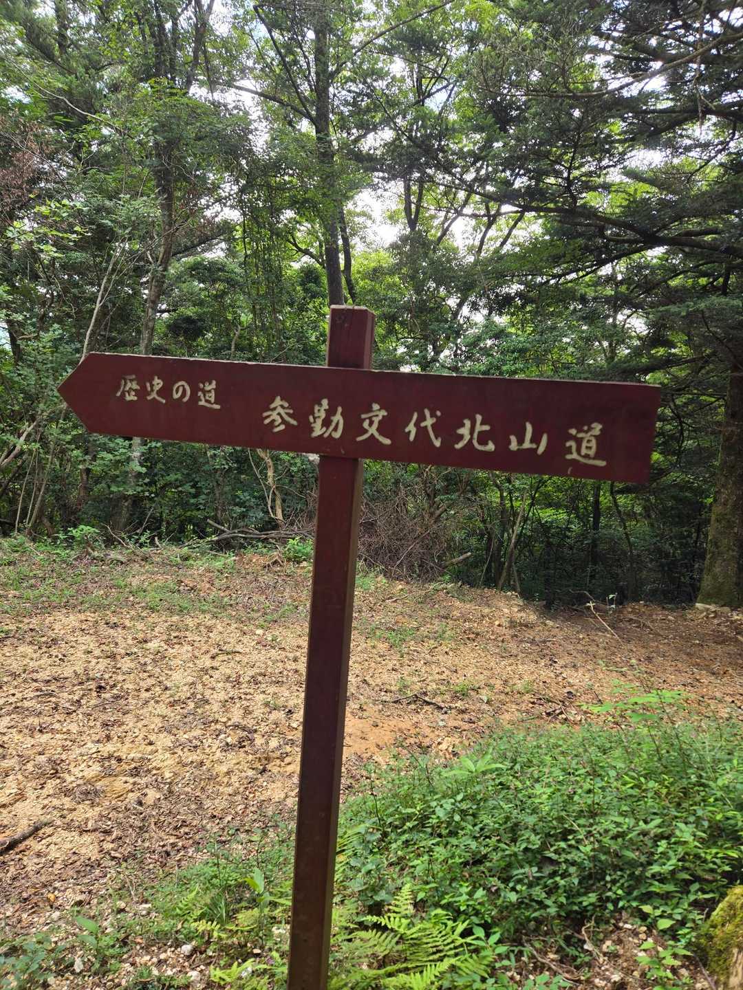 この登山道は昔の参勤交代の道であったようでした。