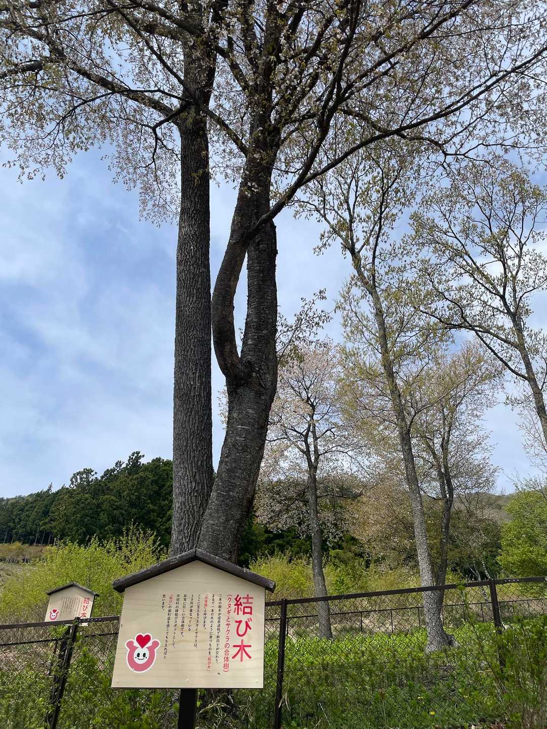 蓬田岳 周回コースの写真