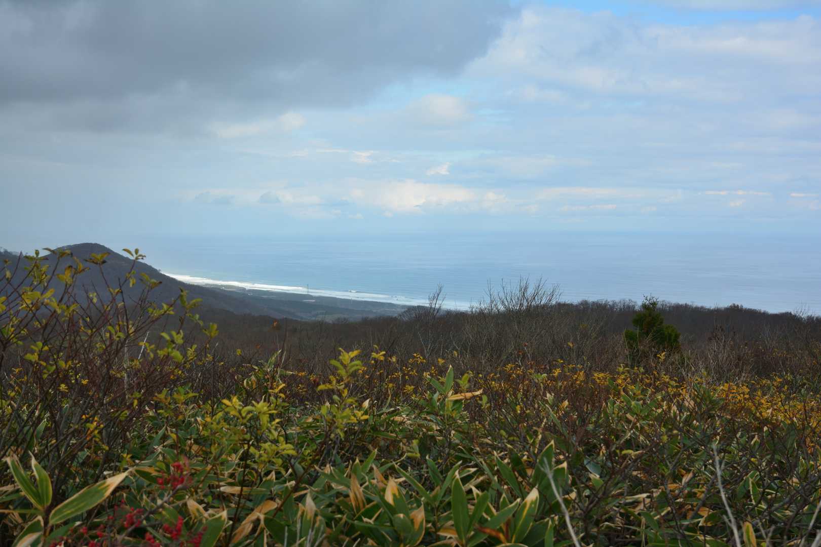 こちらは北東方面。麓の海岸線の先に、太平洋の大海原が広がっている。