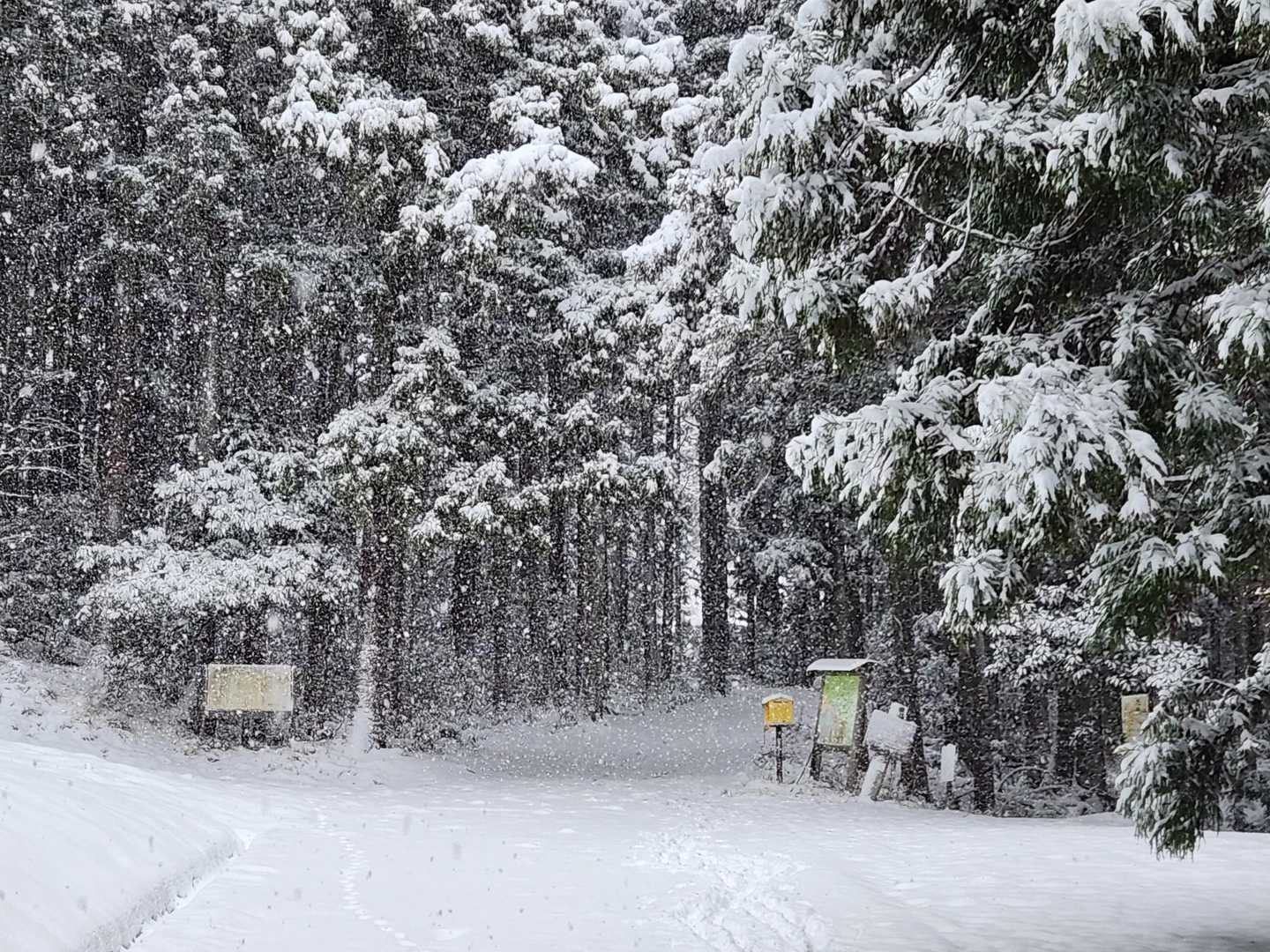 霊仙山口