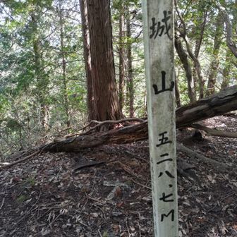 城山山頂