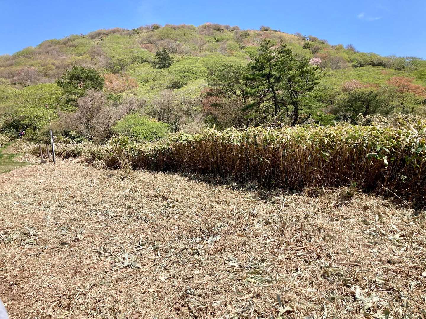 下山時、山頂を見上げる。