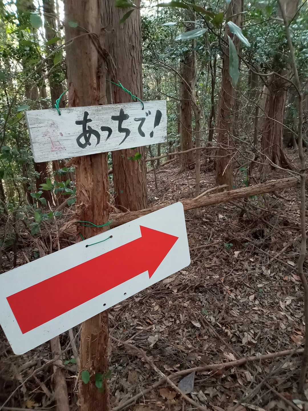 はい🫡