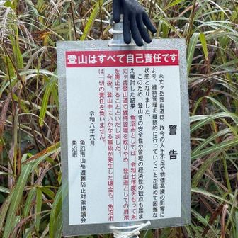 今年から登山道整備が入らないので今後は荒れる一方…
ってことで、駆け込み多数