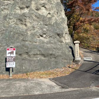 前回は下りだけでしたが、今日は登りもあり⛰️