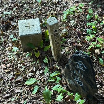 三角点
計画にはなかったのですが、十里上峠に向かいます