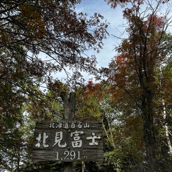 登山道は倒木が多く、道迷いしやすい💦
途中で、右手中指を蜂に刺され、激痛のまま山頂へ
翌日、朝起きるまでずっと激痛でした