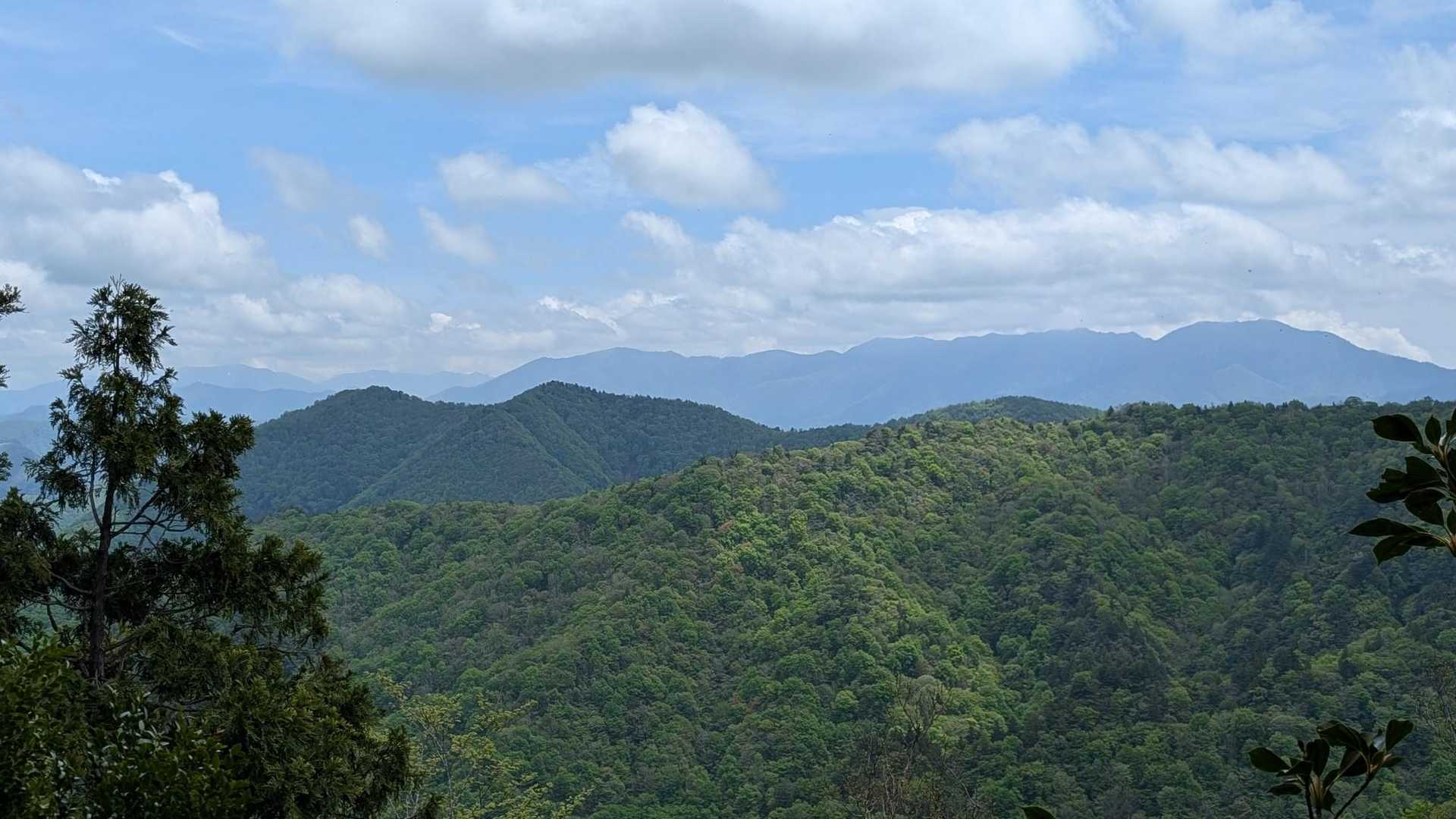 八総鉱山跡-荒海山 往復コースの写真