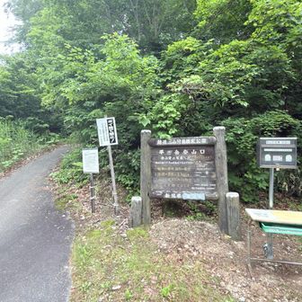 登山開始
