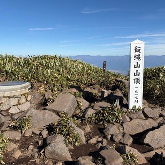 戻って来た