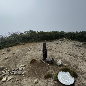 小朝岳山頂着
ガスで展望はなし。