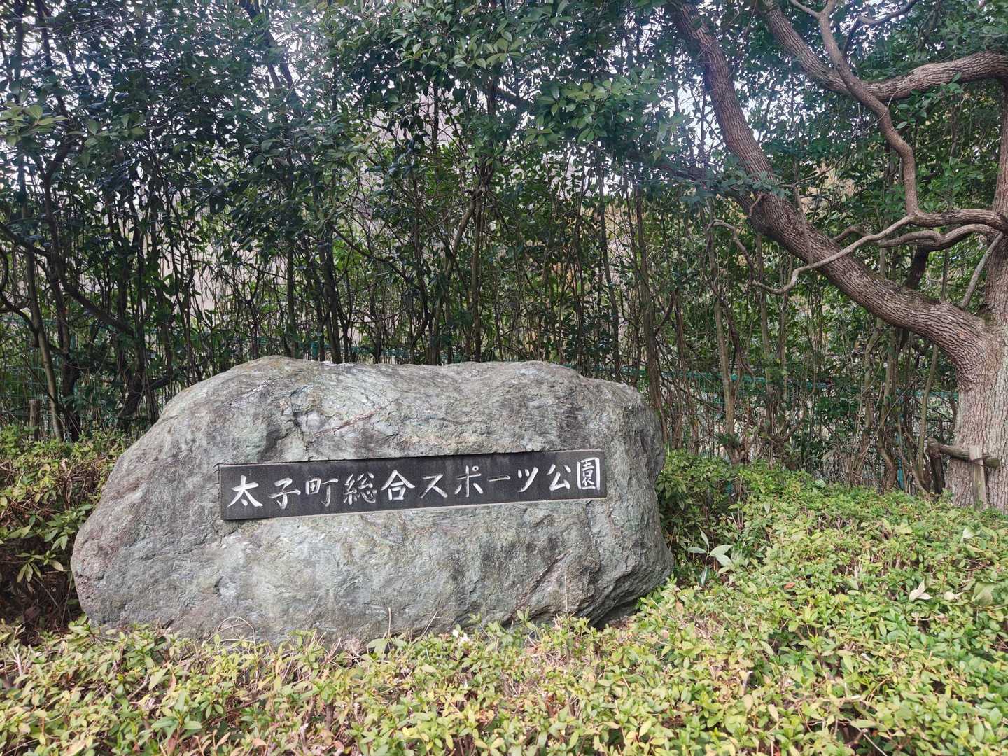 二上山 往復コースの写真