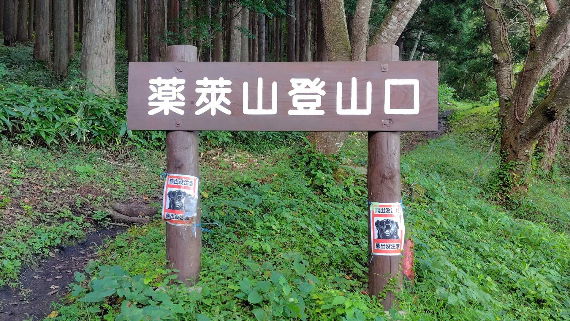 立派な看板でした😊