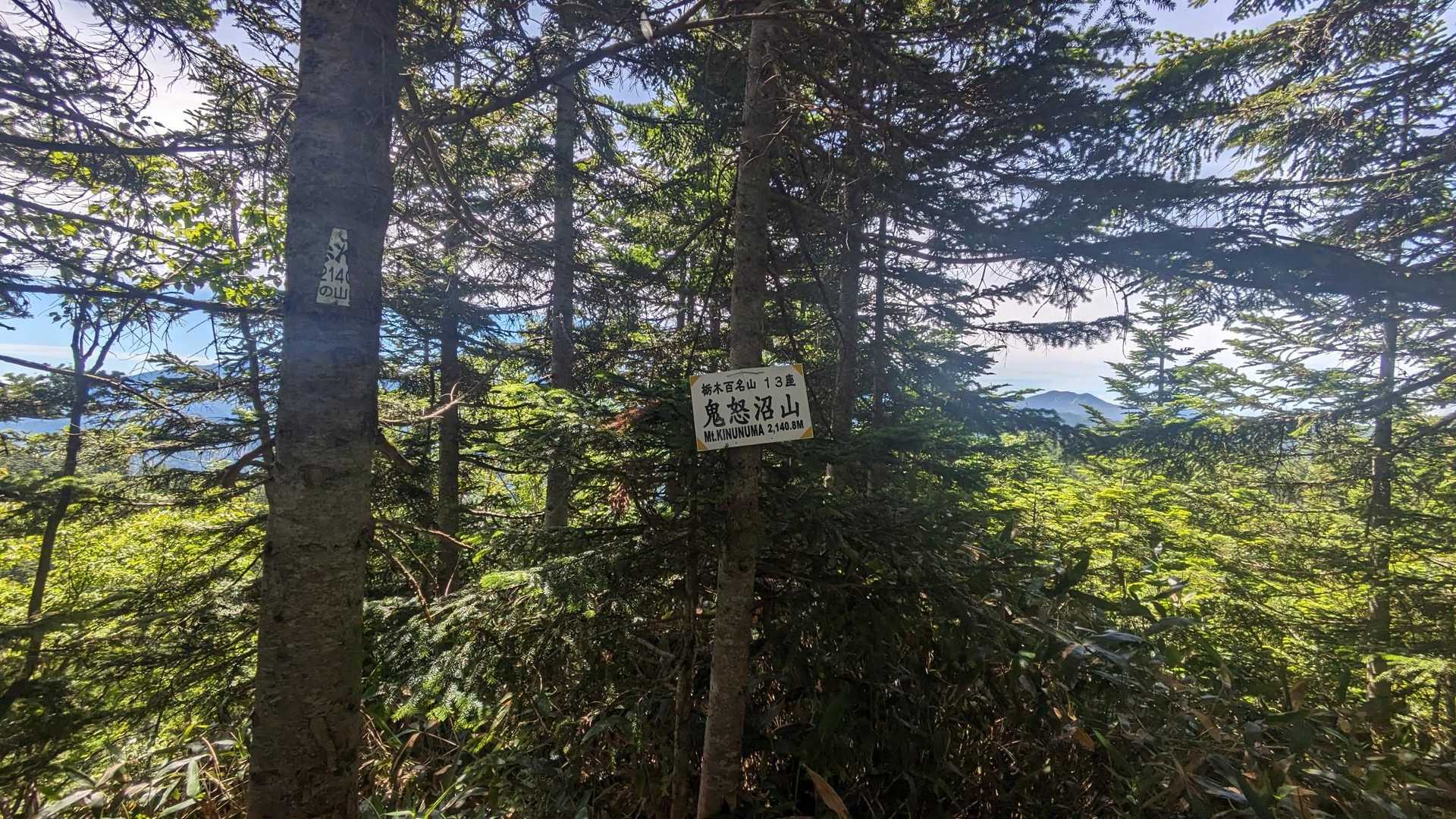 鬼怒沼山は眺望無し
だけど3つの百名山に選ばれています(関東百、栃木百、群馬百)