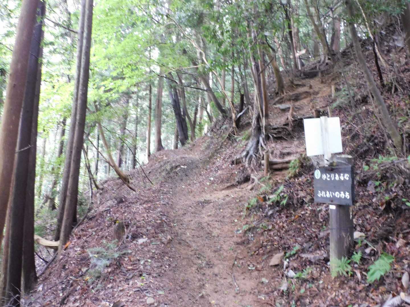 ほんの少し山登り散歩