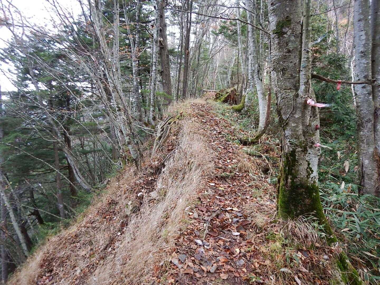 燕巣山の鞍部到着。