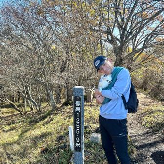 離山山頂に到着⛰️