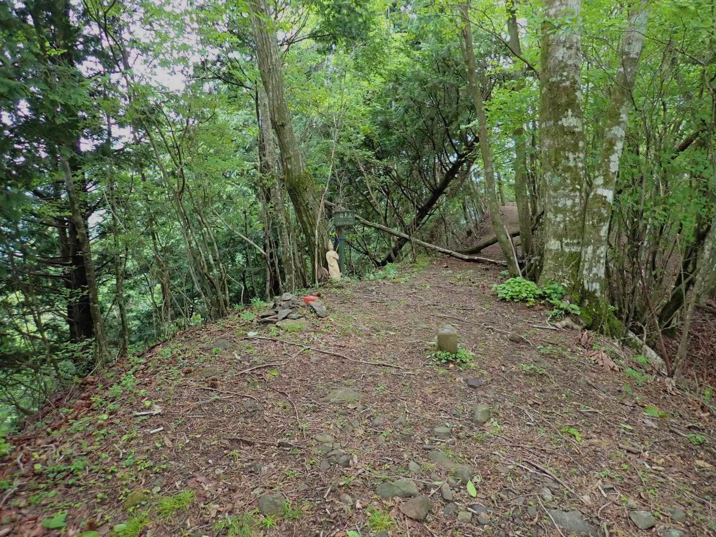 福見山に着いたー！！！