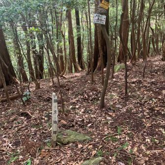 一宇田の三角点389.23m→朝熊山第二とは？