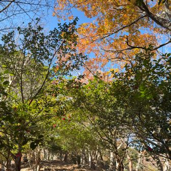 最後に振り返って…名残惜しい😅