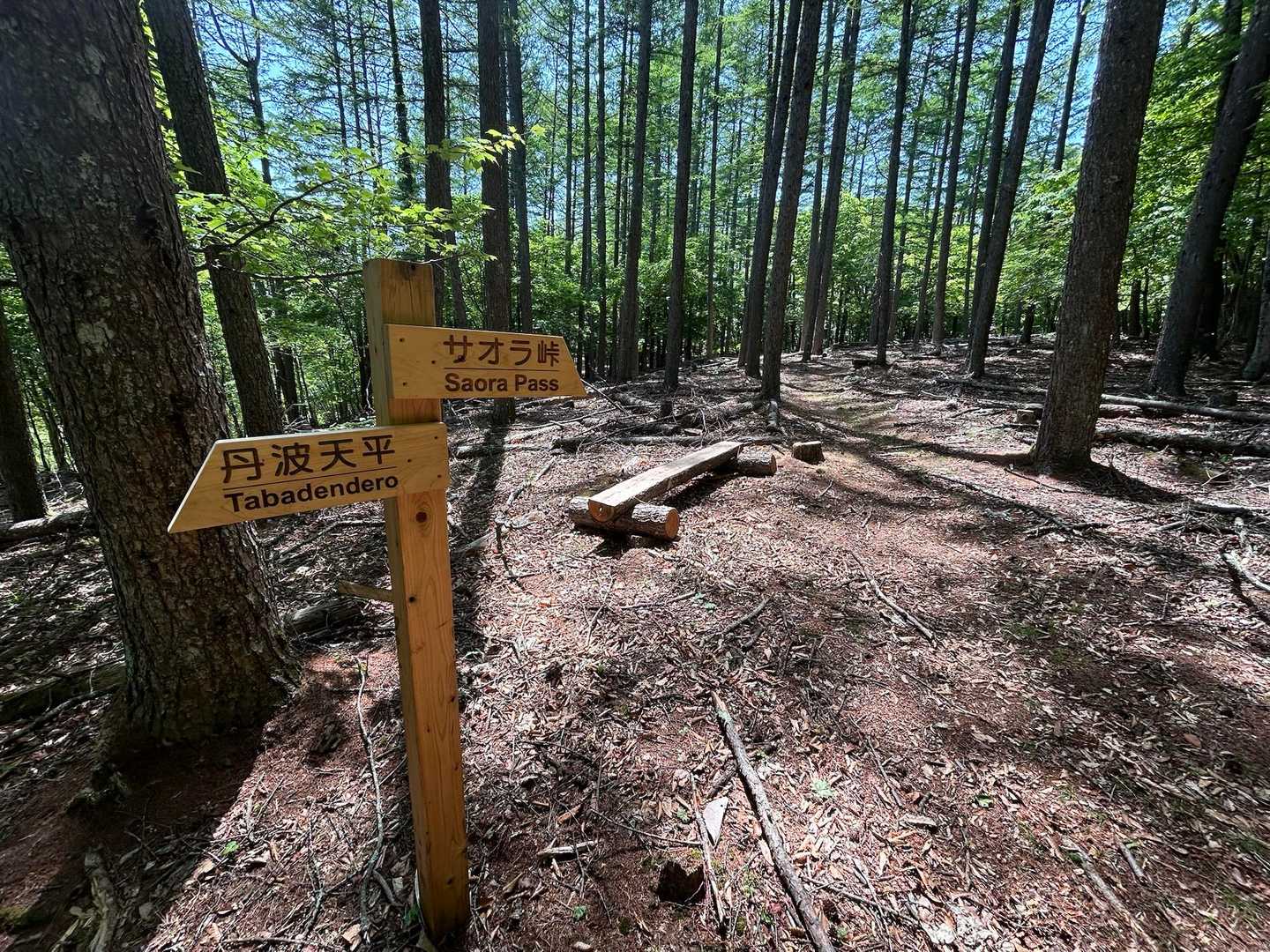 「たばでんでろ」って読むんだ。
辺りは山奥の不思議な広場