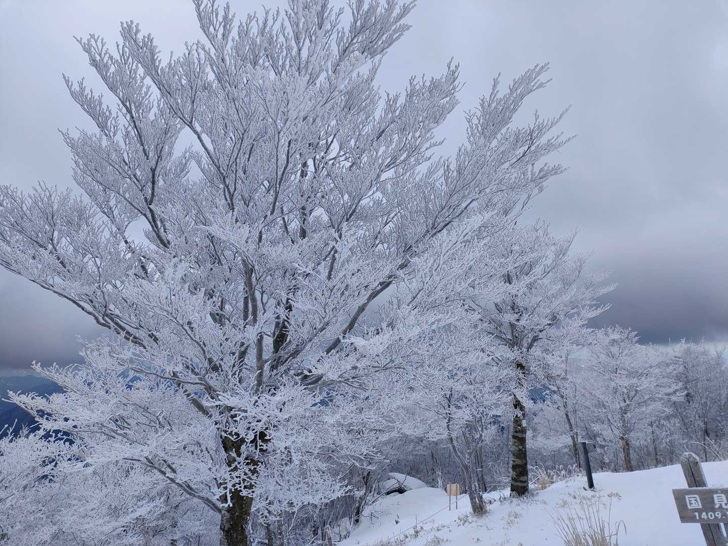 国見山の写真