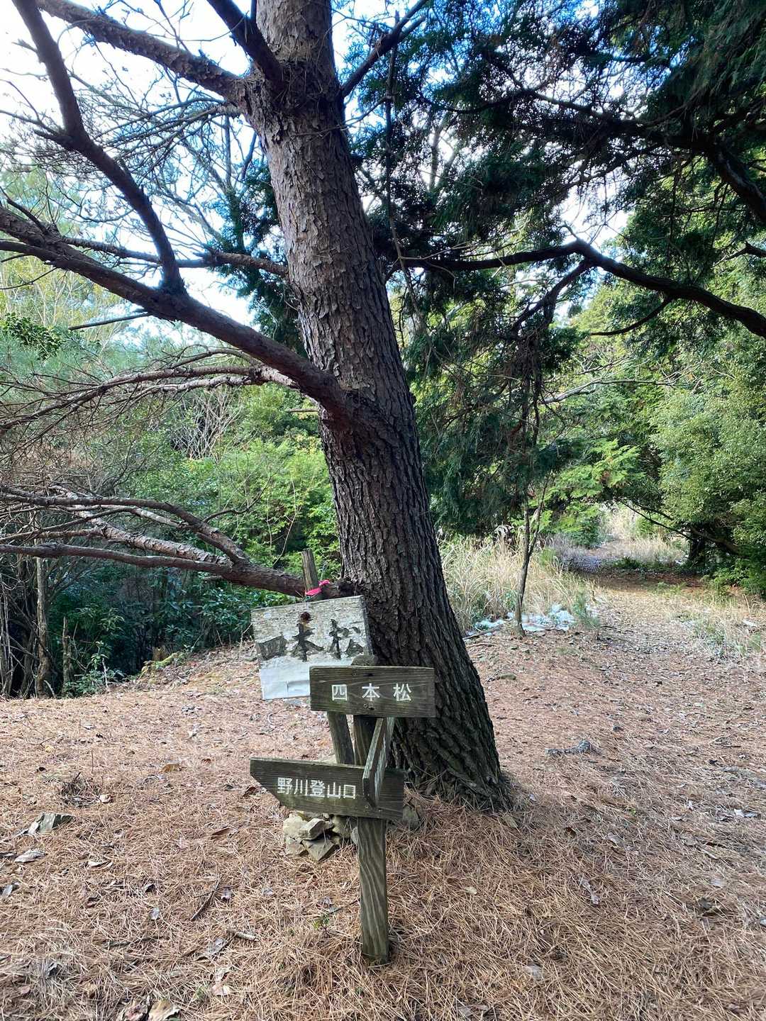 四本松-尻割山 往復コースの写真