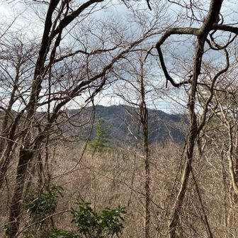 あそこから来た