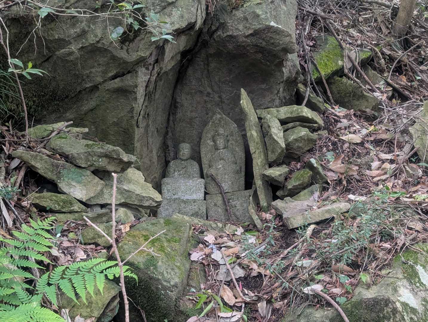 千石岳登山口-千石岳 周回コースの写真