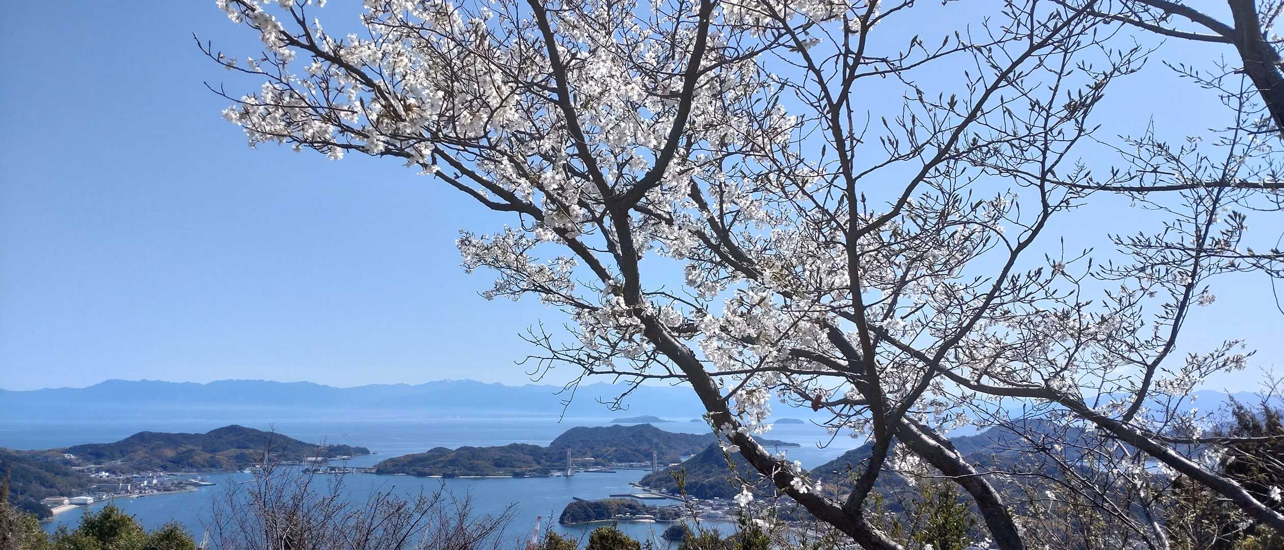 久しぶりに綺麗に見えた四国山脈（石鎚山）⛰️
