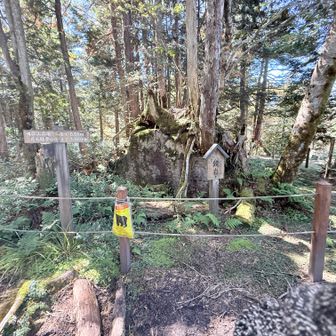 鏡岩。ここ天の岩戸には水無神社奥宮もあったが、これは撮影しそびれた。