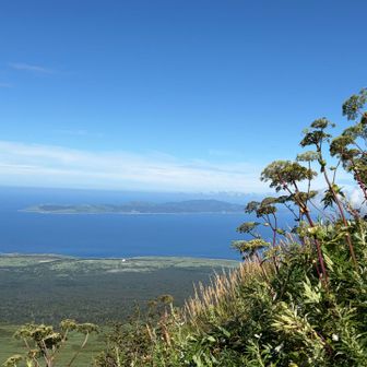 礼文島もよく見えてます。