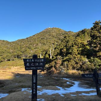 木道の上はツルツル