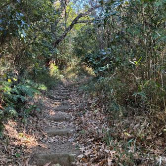 落ち葉で滑るから下りは気をつけて！