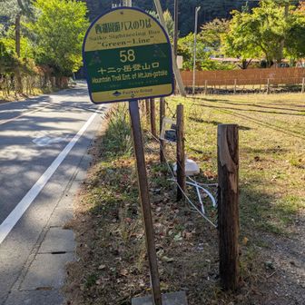 十二ヶ岳登山口BSにゴール　バスで河口湖駅に戻りました