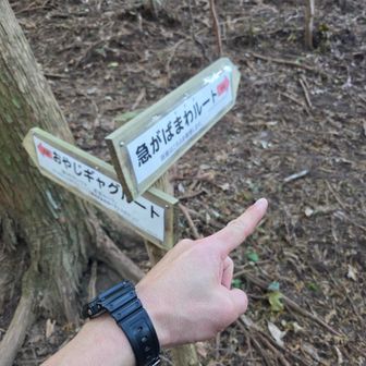 おやじではないので