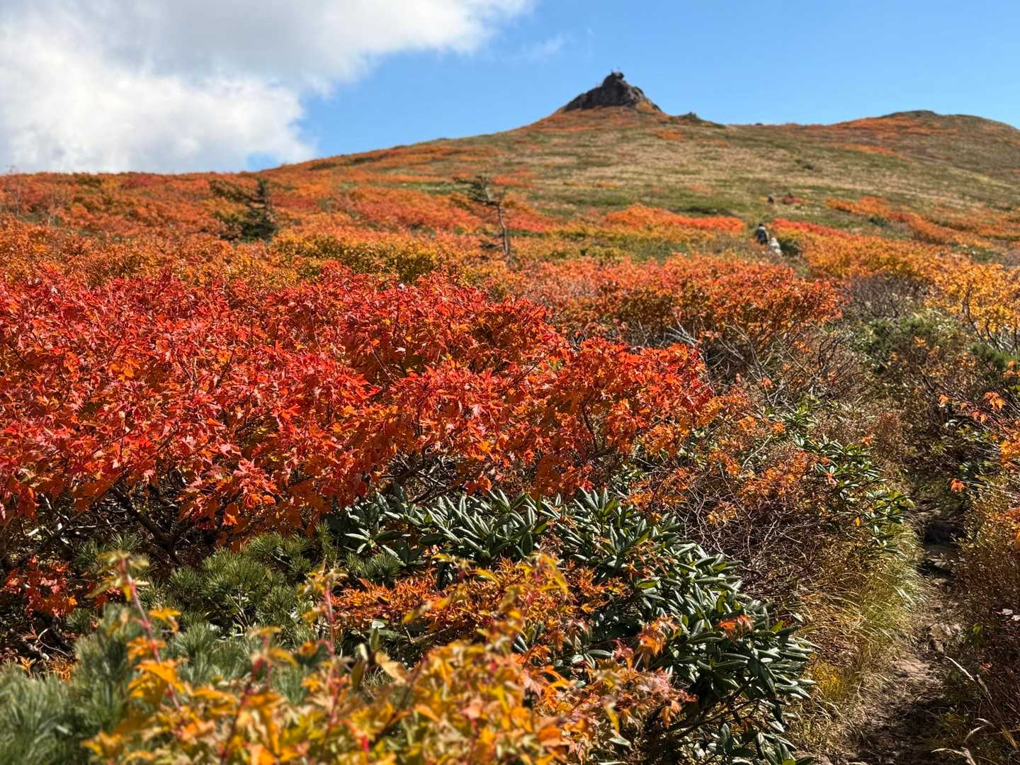 岩手山から八幡平に続く
裏岩手連峰縦走コースのほぼ中間地点
なだらかな山なみ