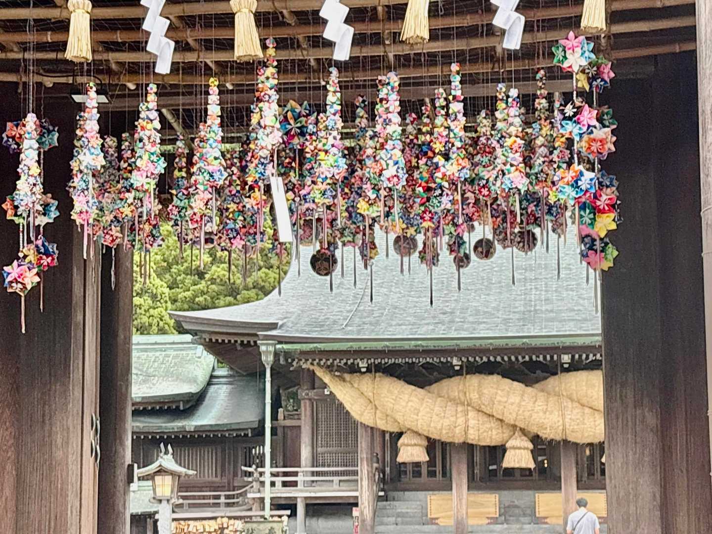 素敵✨️