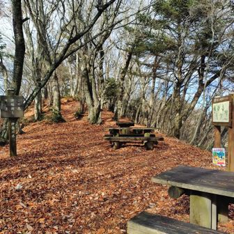 山頂標識のちょっと手前

ここから、このコース最大の難所

休憩して英気を養っておくことをオススメします