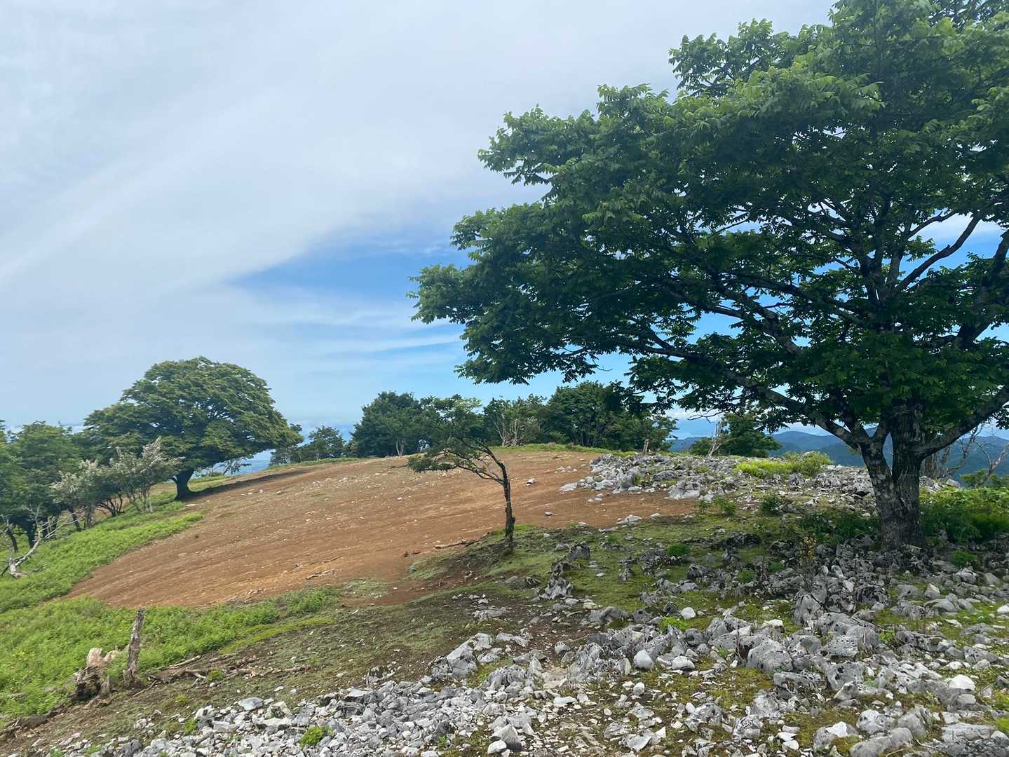 草剥げて茶色やから茶野なんかな？