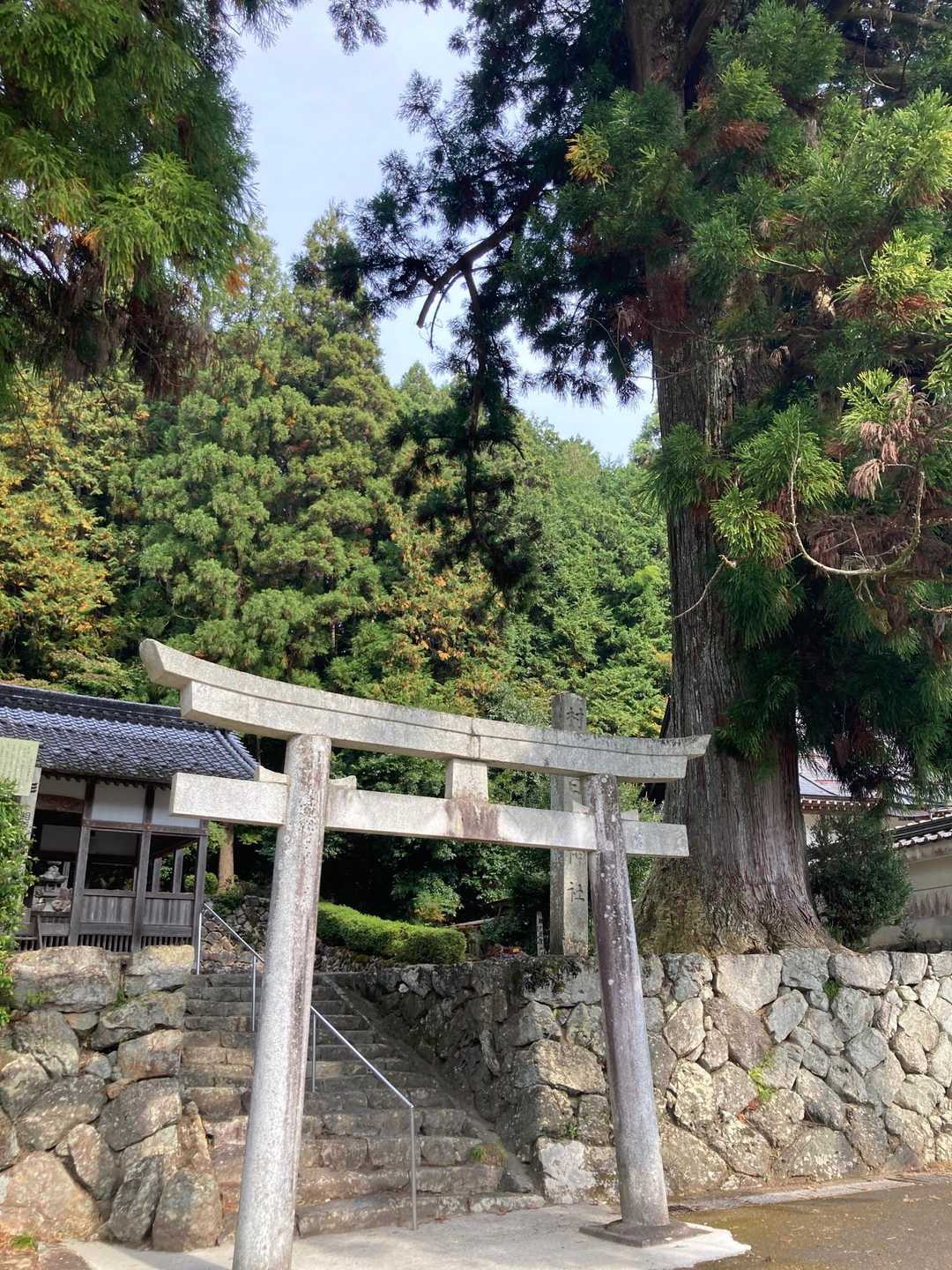 相戸岳 往復コースの写真