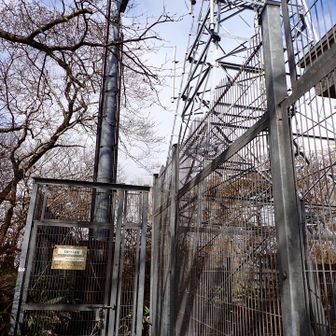 いくつかのピークに立ち寄りましたが、
電波塔が立っていて山頂プレートはなし
縦走路外